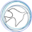 The New Century Foundation