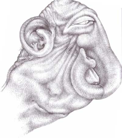 Munahi Marzook's Art