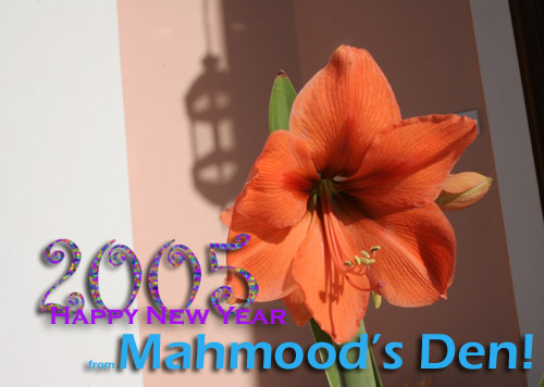 Happy New Year from Mahmood's Den