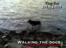 a day off, a little breeze and 3 dogs, what would YOU do?