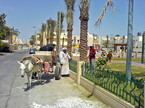 Ã˜Â§Ã™â€žÃ˜Â­Ã™â€¦Ã™â€˜Ã˜Â§Ã˜Â±