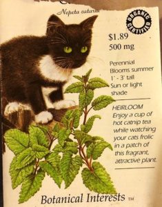 Cat Nip