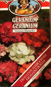 Geranium---Century-Mixed-F1
