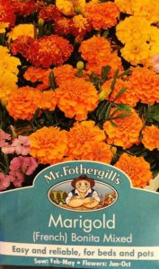 Marigold---French